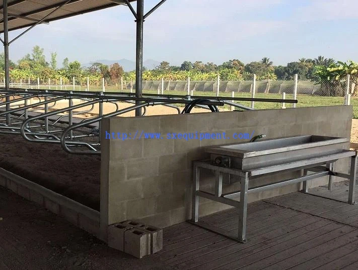 Free stall in farm